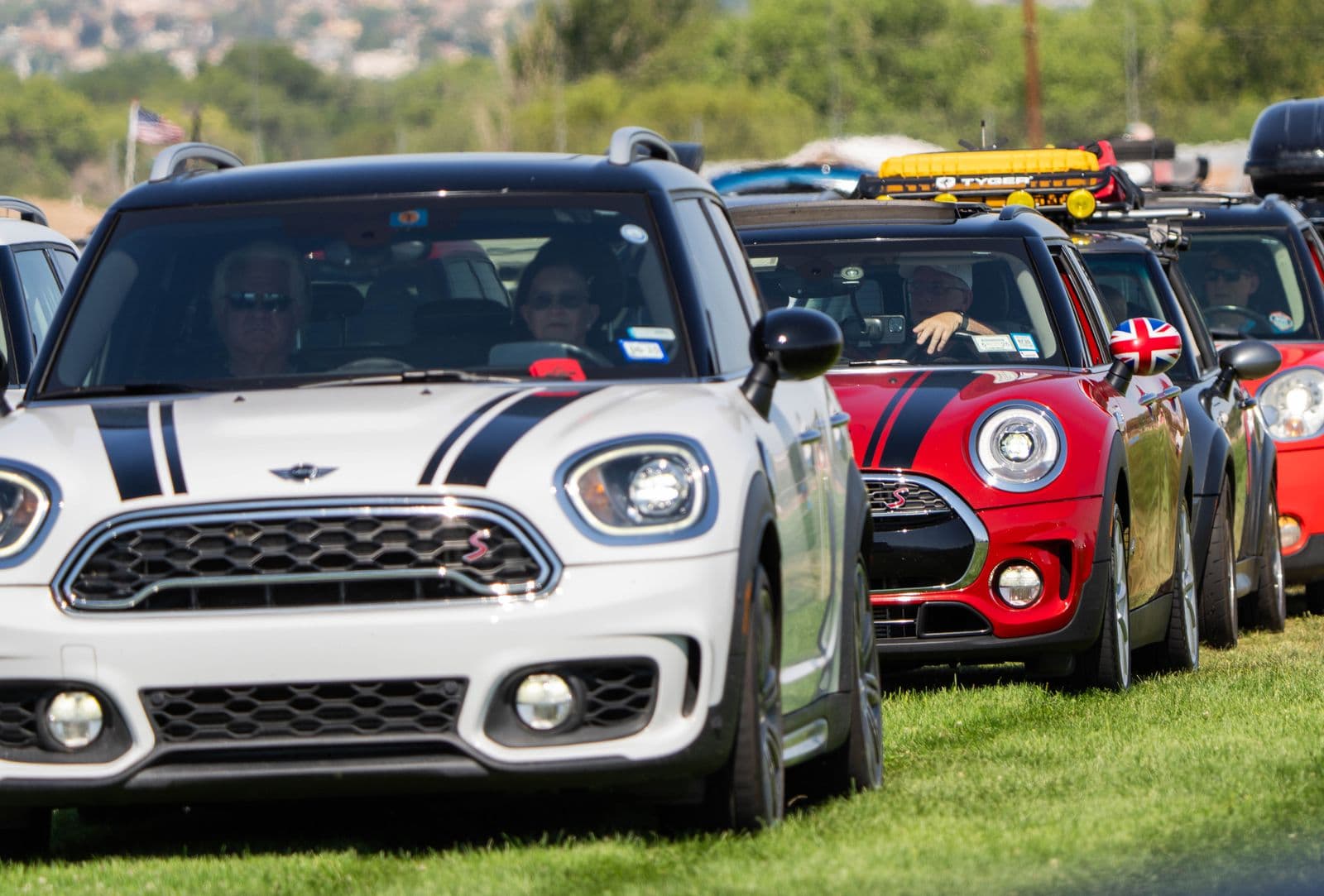A white MINI Clubman leading a line of MINIs parked on grass
