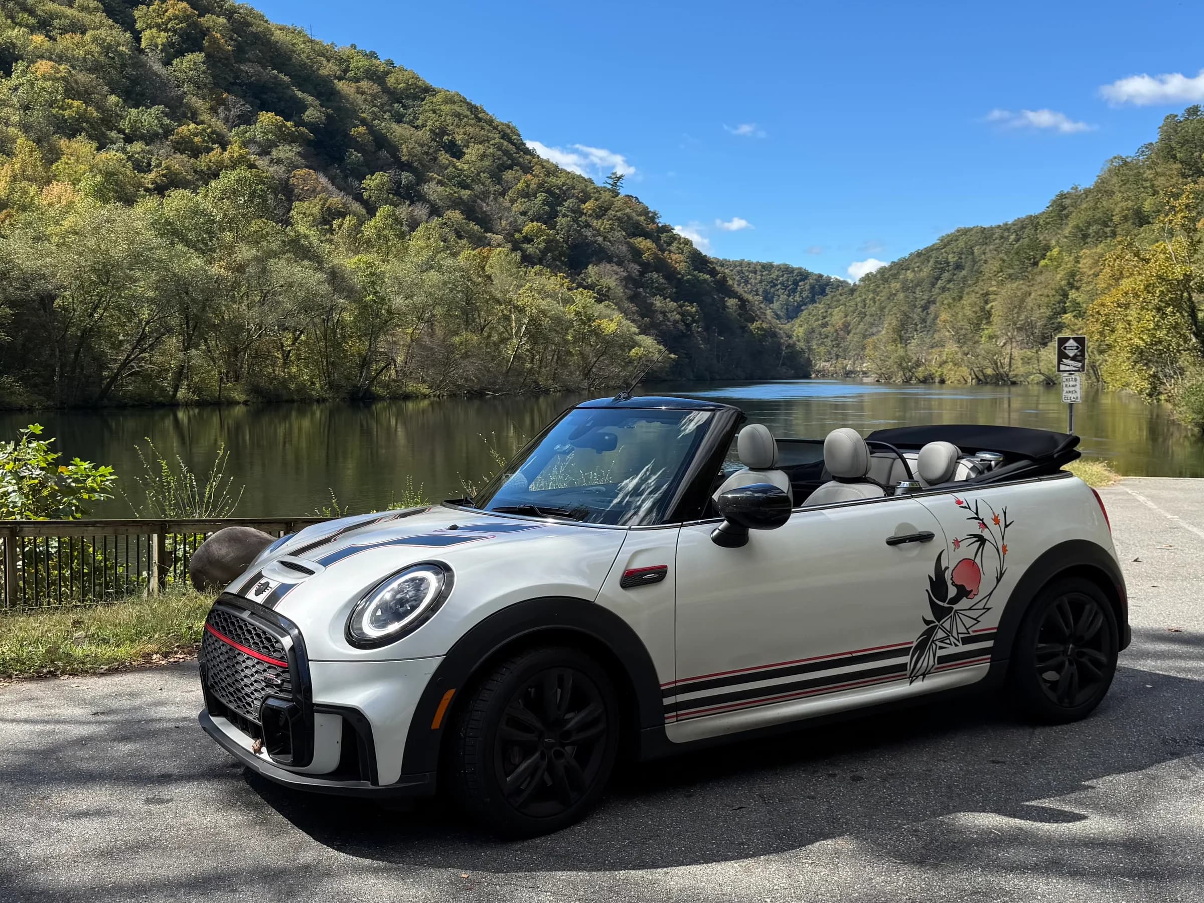 Phoenix in front of a river in the Smoky Mountains
