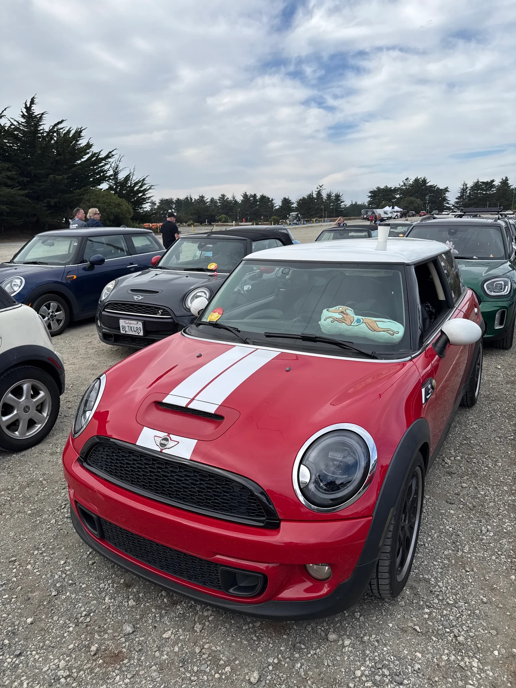 Benny, a 2013 2 Door Hardtop