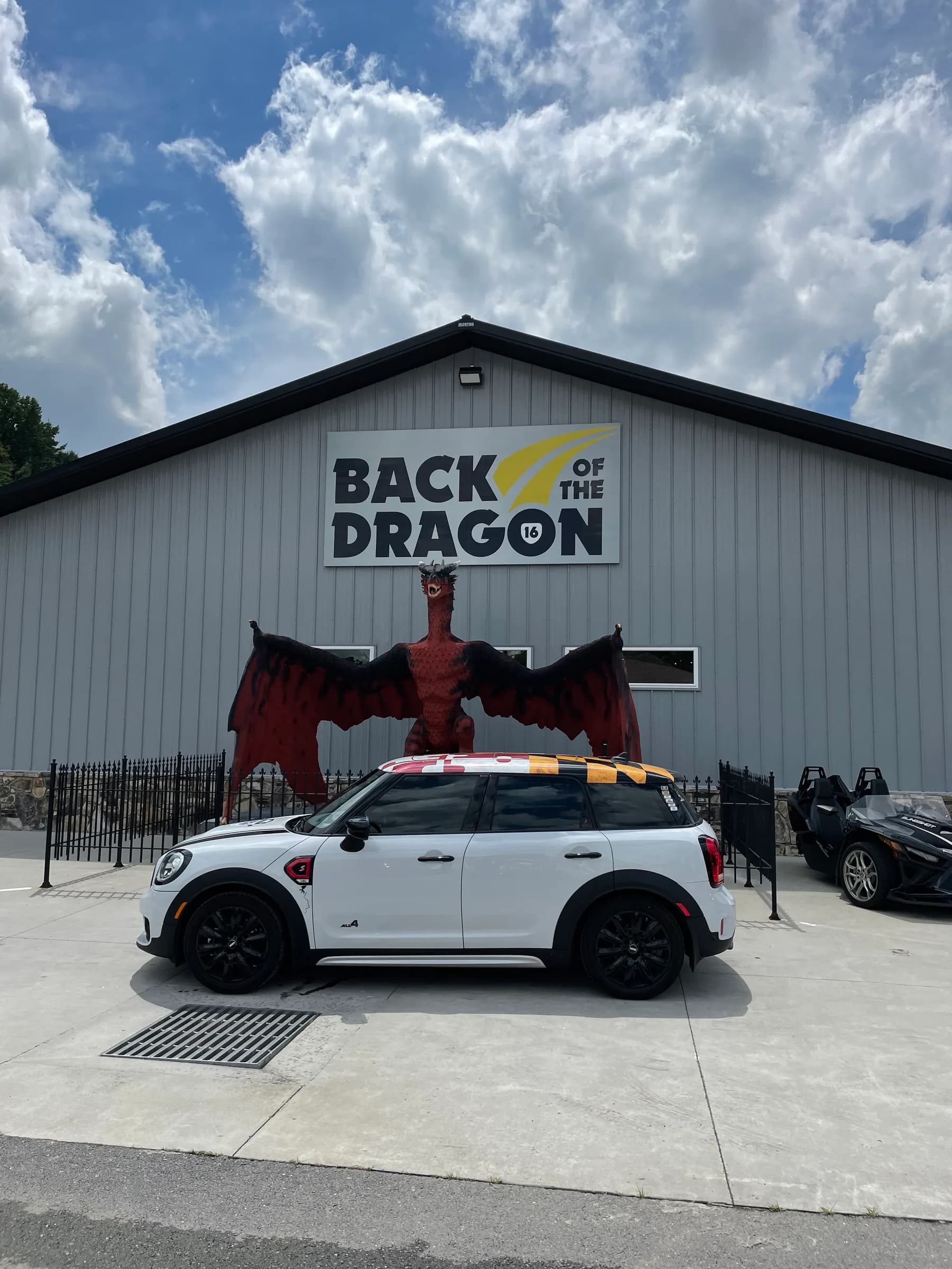 STXMINI Takes on The Dragon
