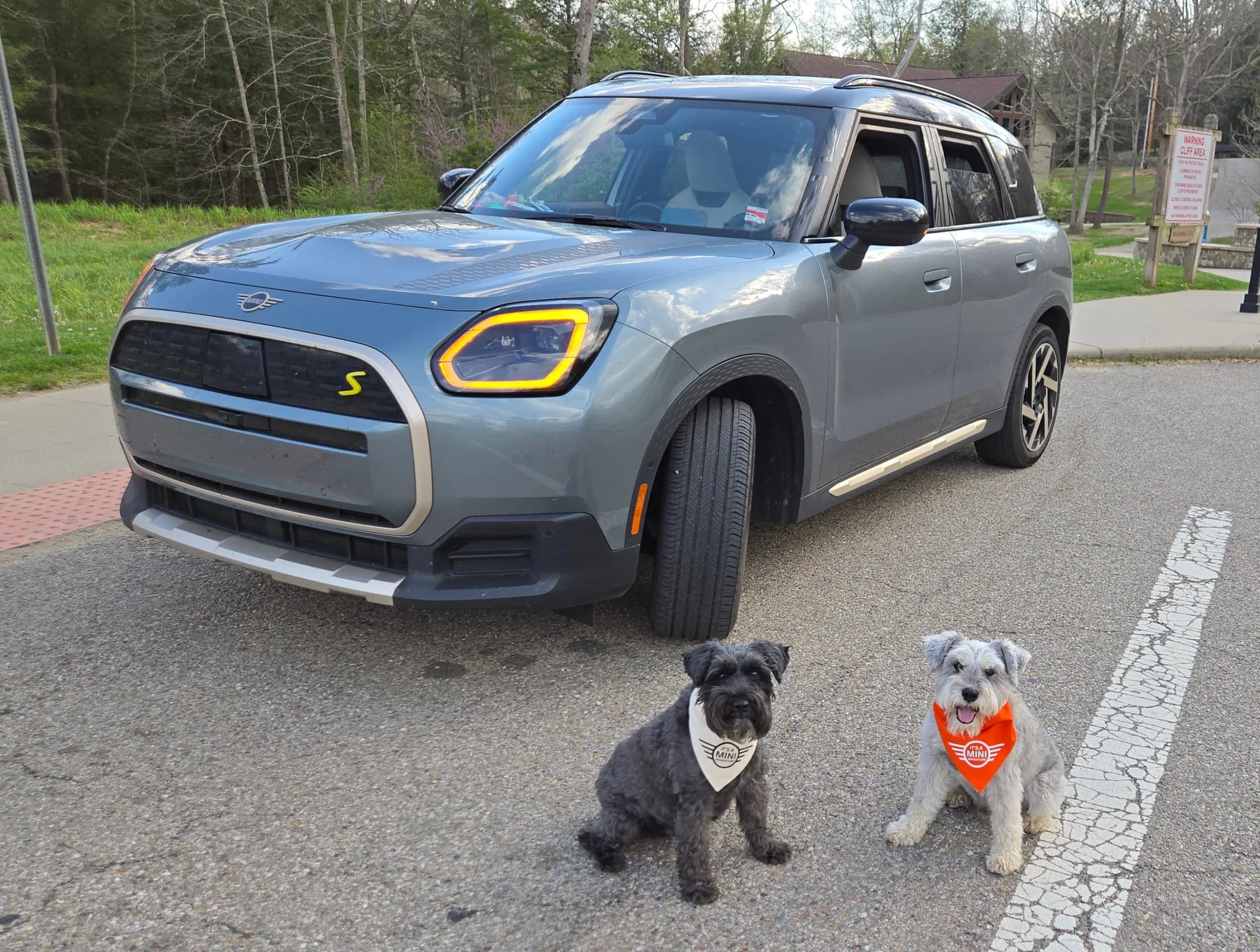 This is my good side (although I have no bad side). If you look closely, you can see my bonnet stripes. I like to show off my yellow S badge on my grill.