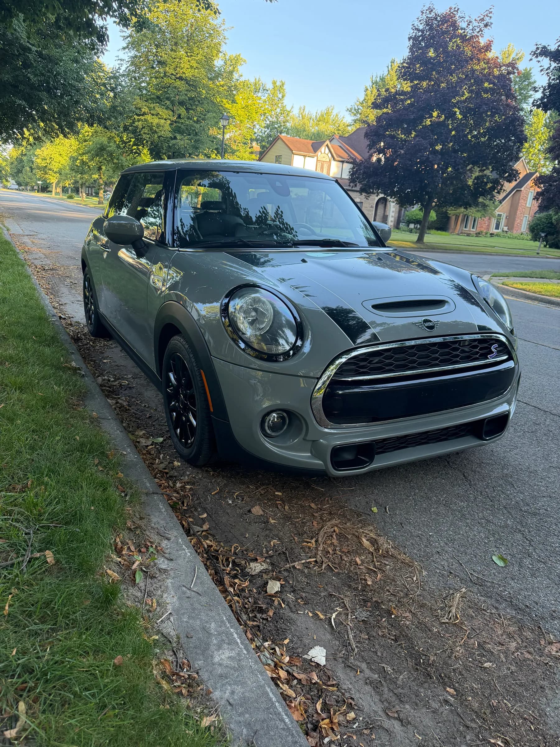 The Mannycooper, a moonwalk grey 2dr hardtop cooper s.