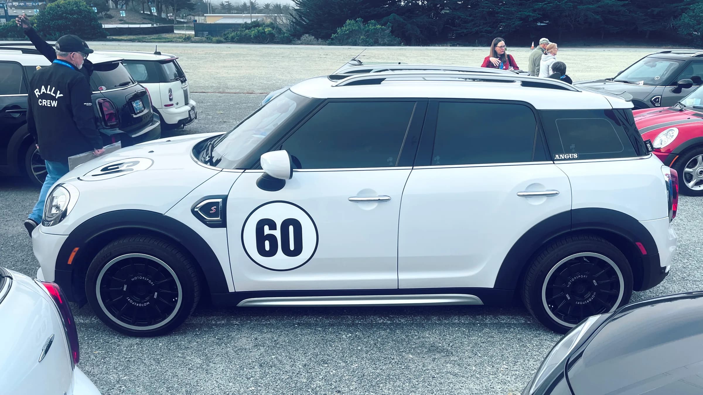 Angus, a 2020 Countryman