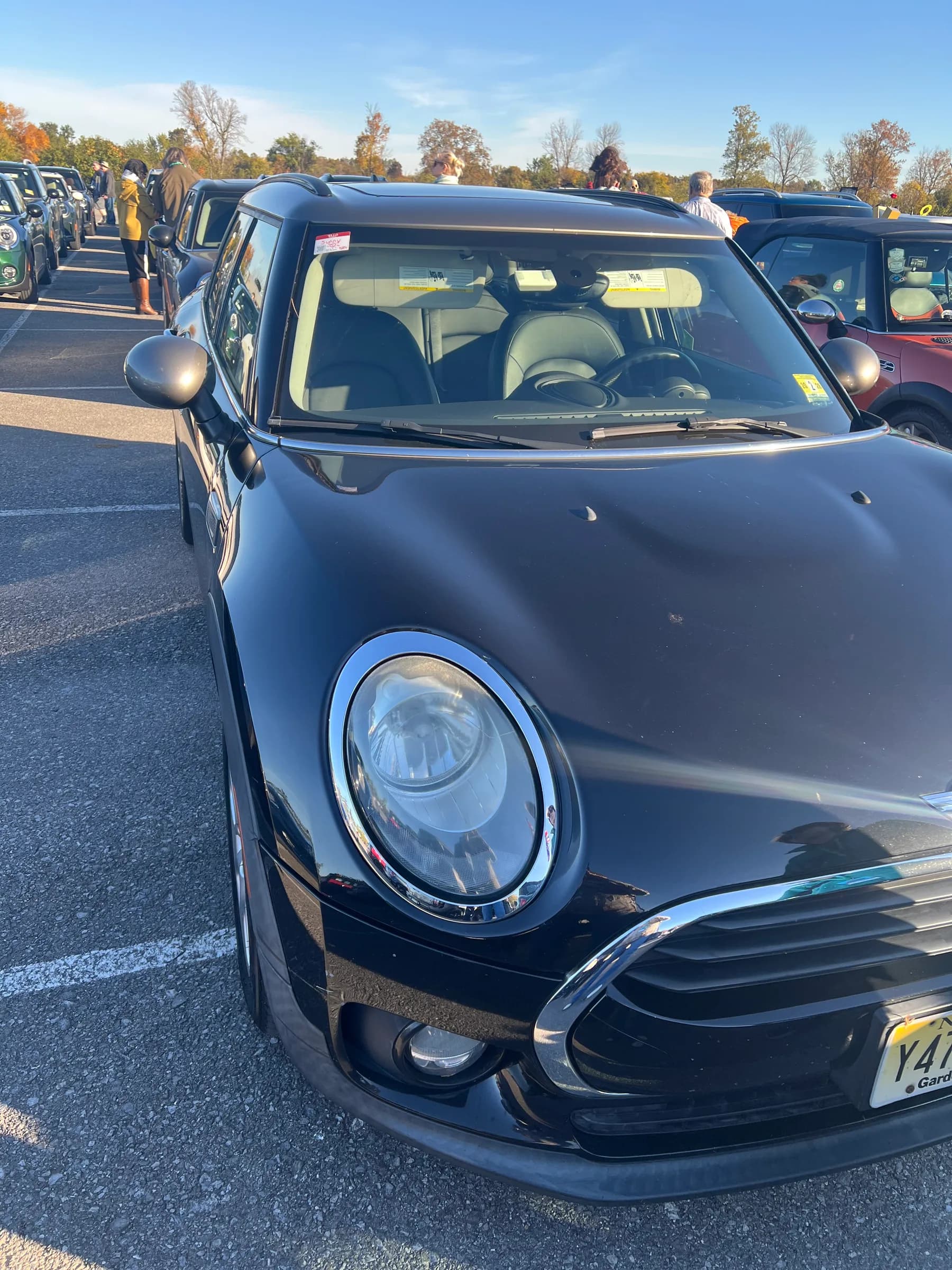 Sunny, a 2017 Clubman
