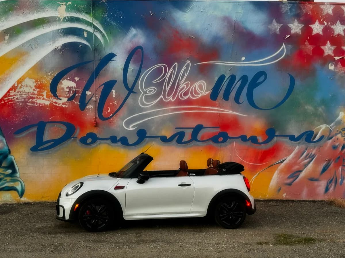 Sheldon at hometown mural