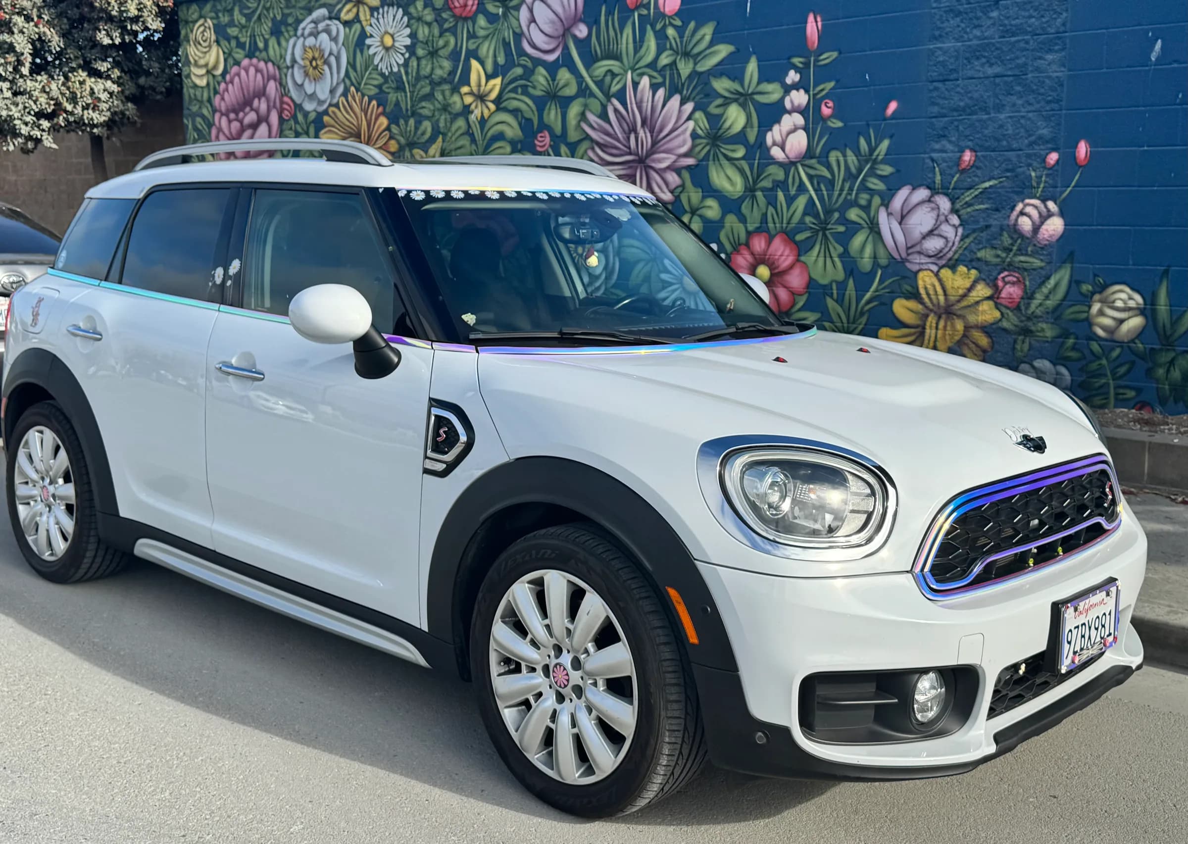 Daisy, a 2018 Countryman