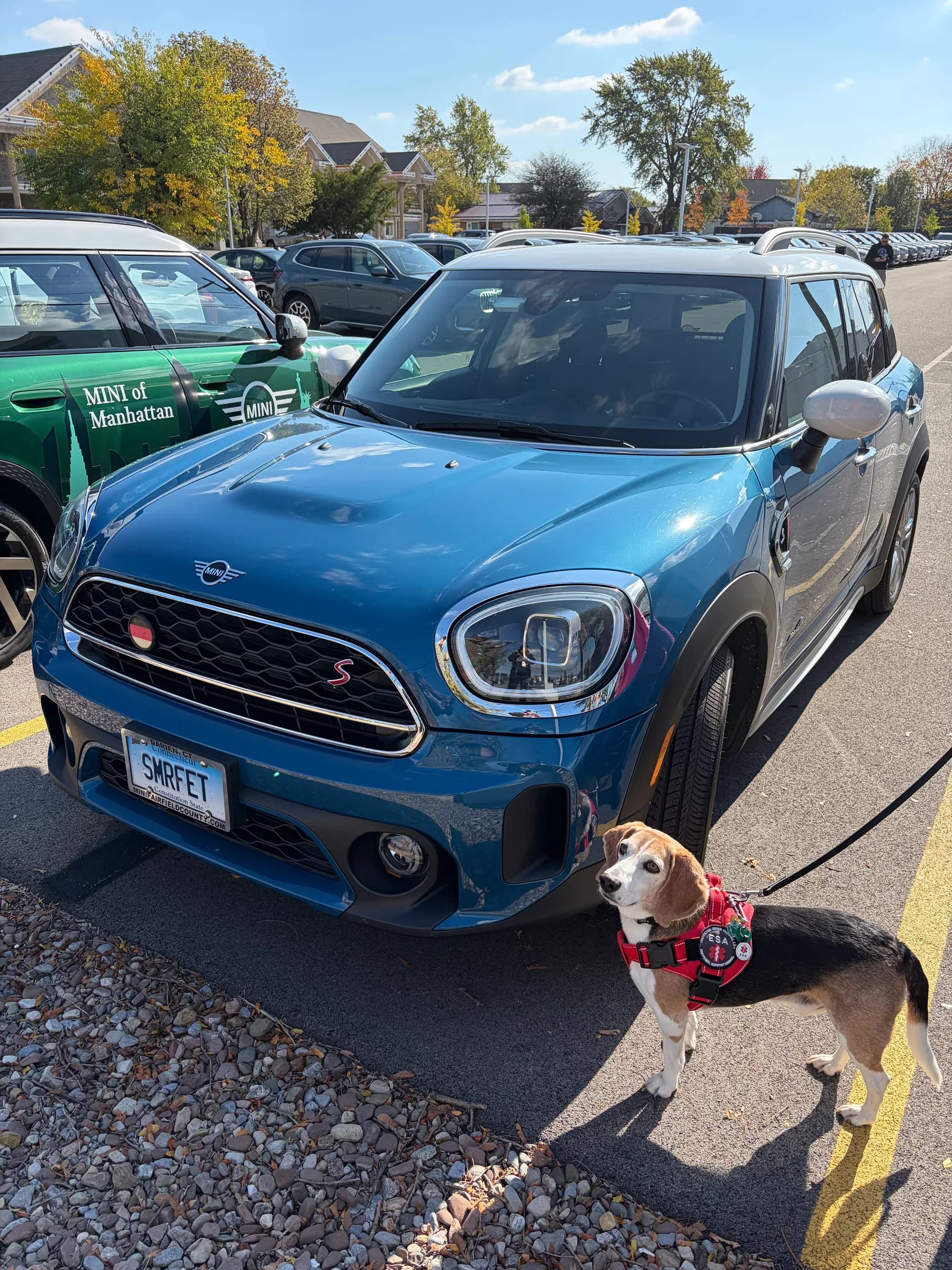 Smurfette, a 2024 Countryman