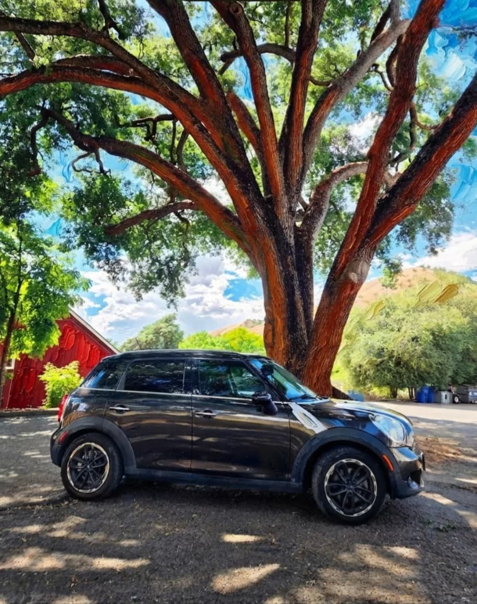 LuLuLatte, a 2015 Countryman