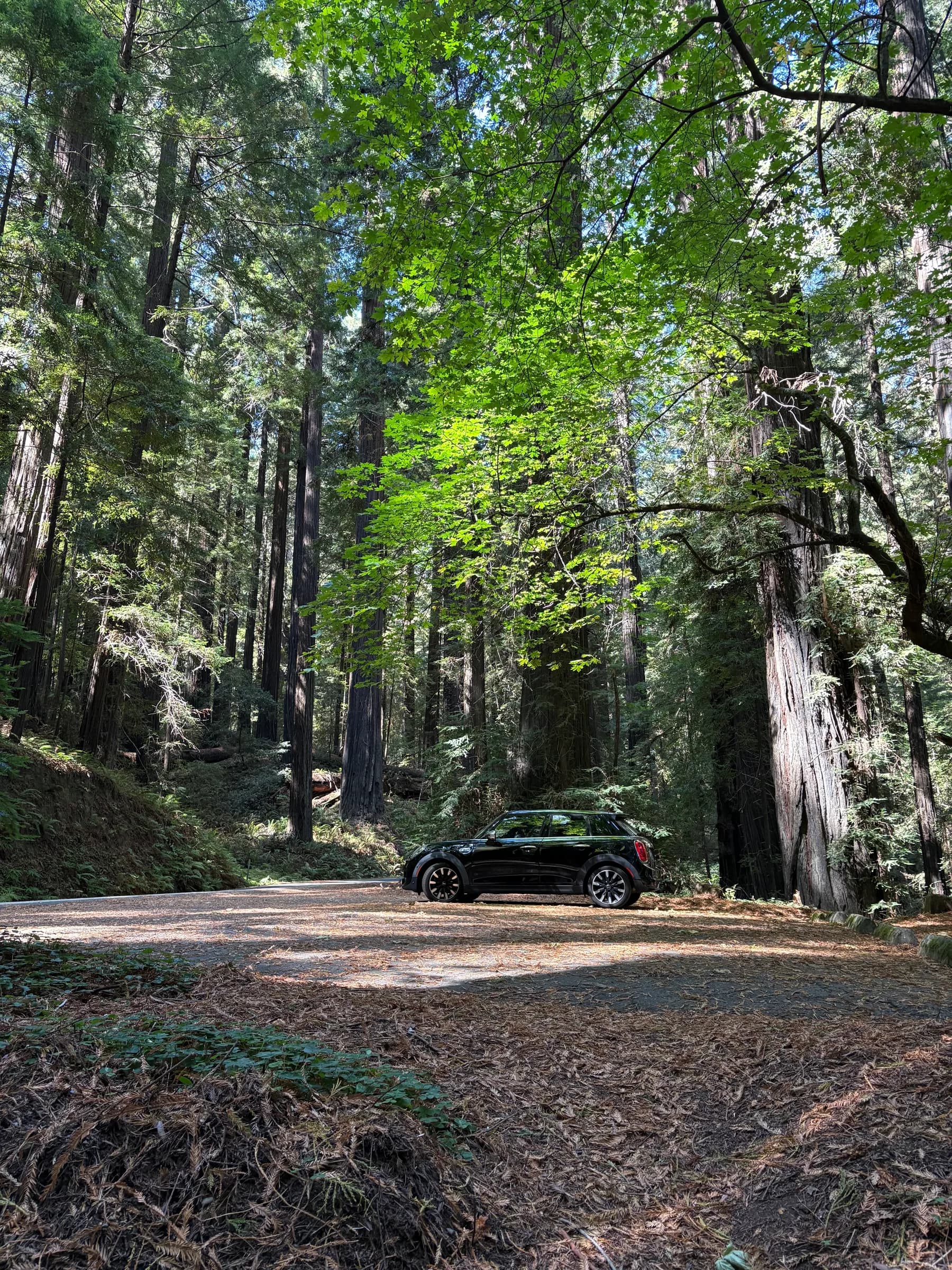 Always best in the forest!