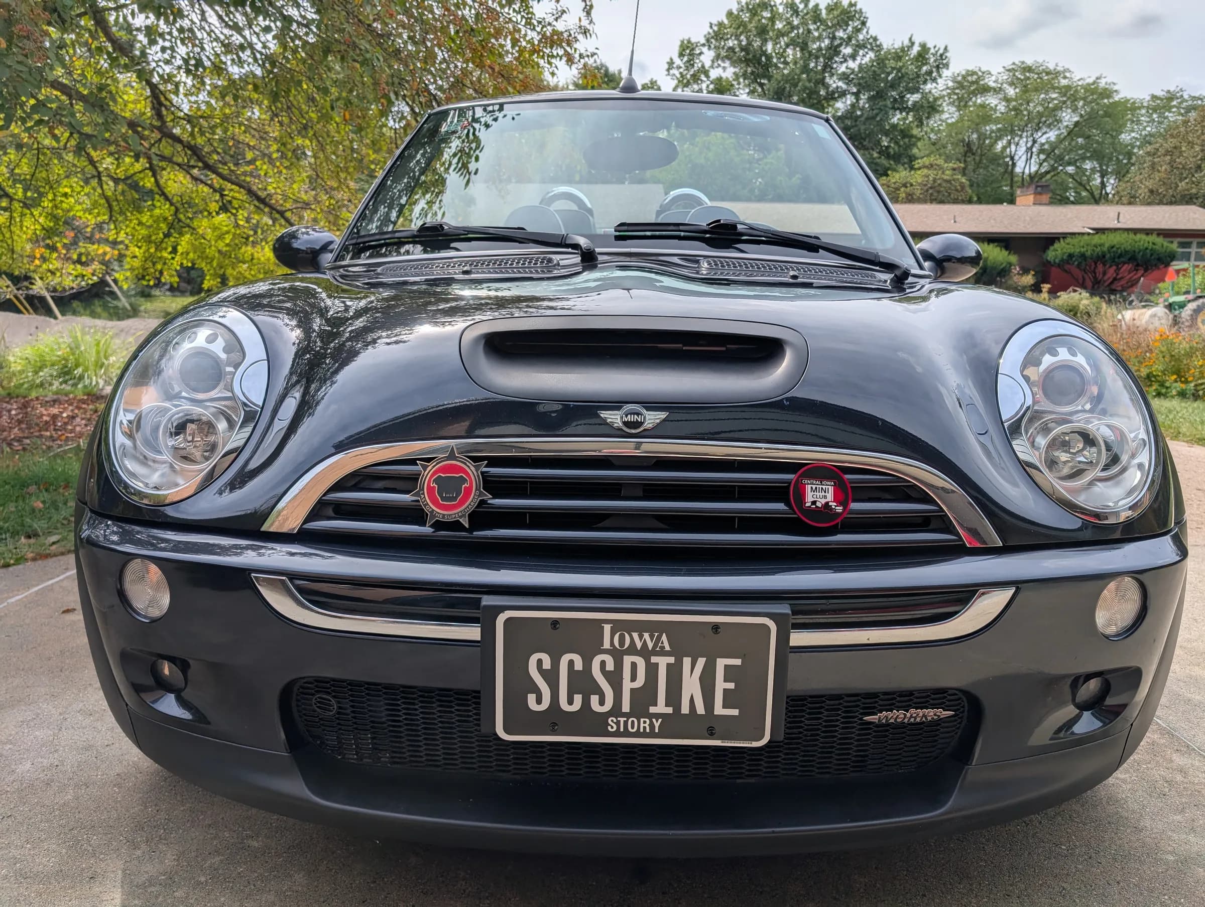 Spike, a 2008 Other
