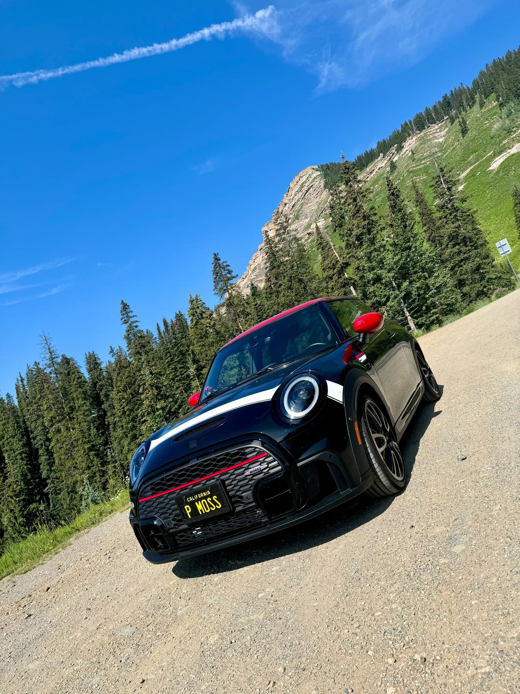 Bella at MTTS 2024