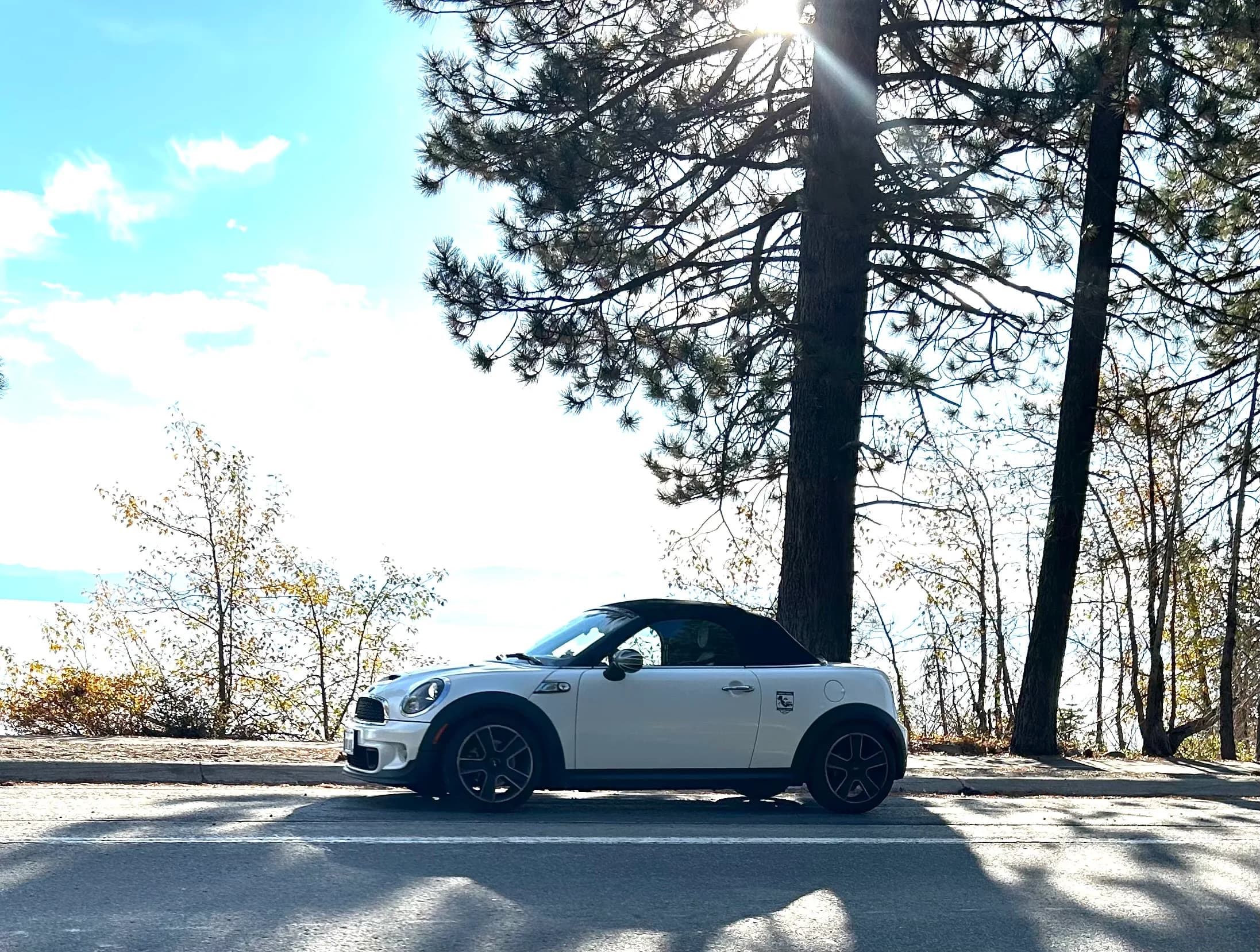 Lil Devil, a 2013 Roadster