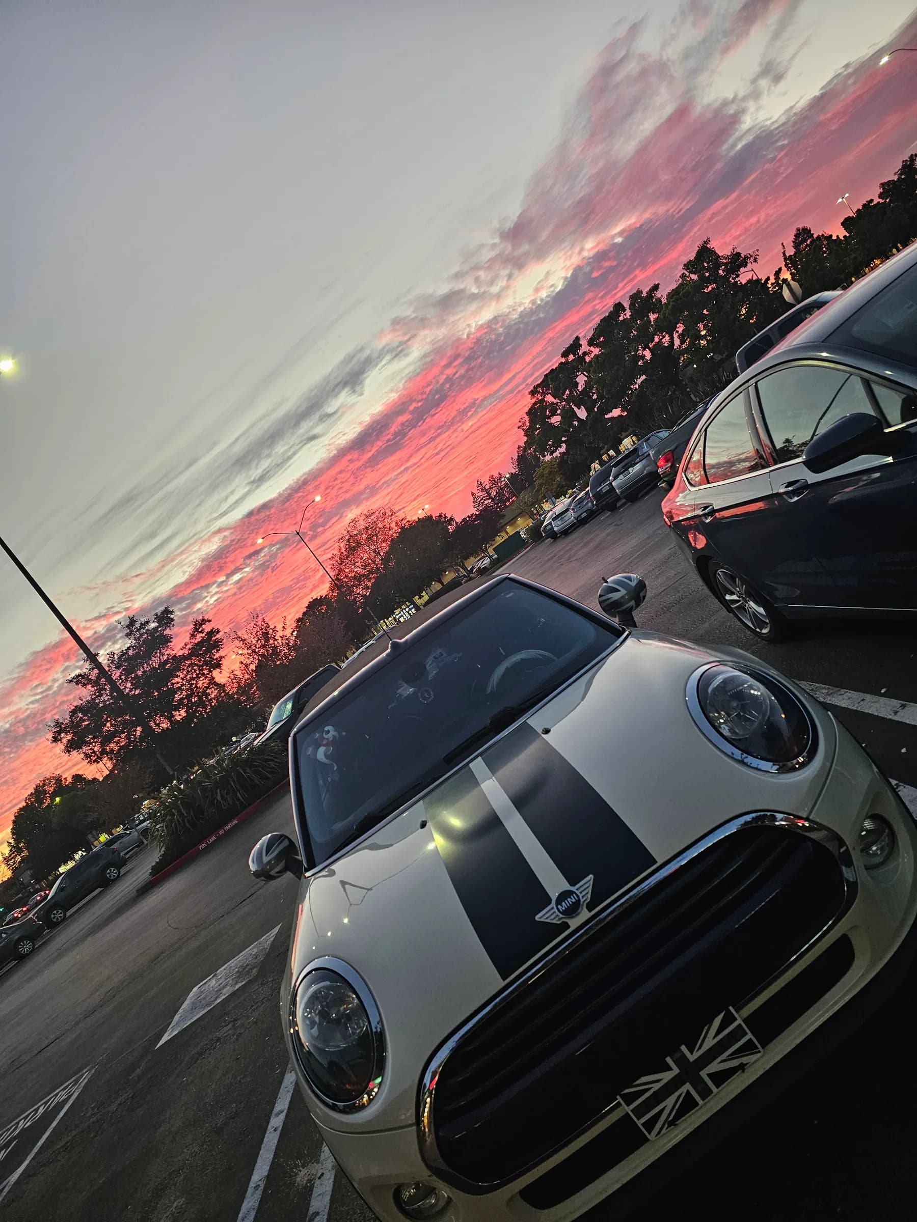 Sunset vibes