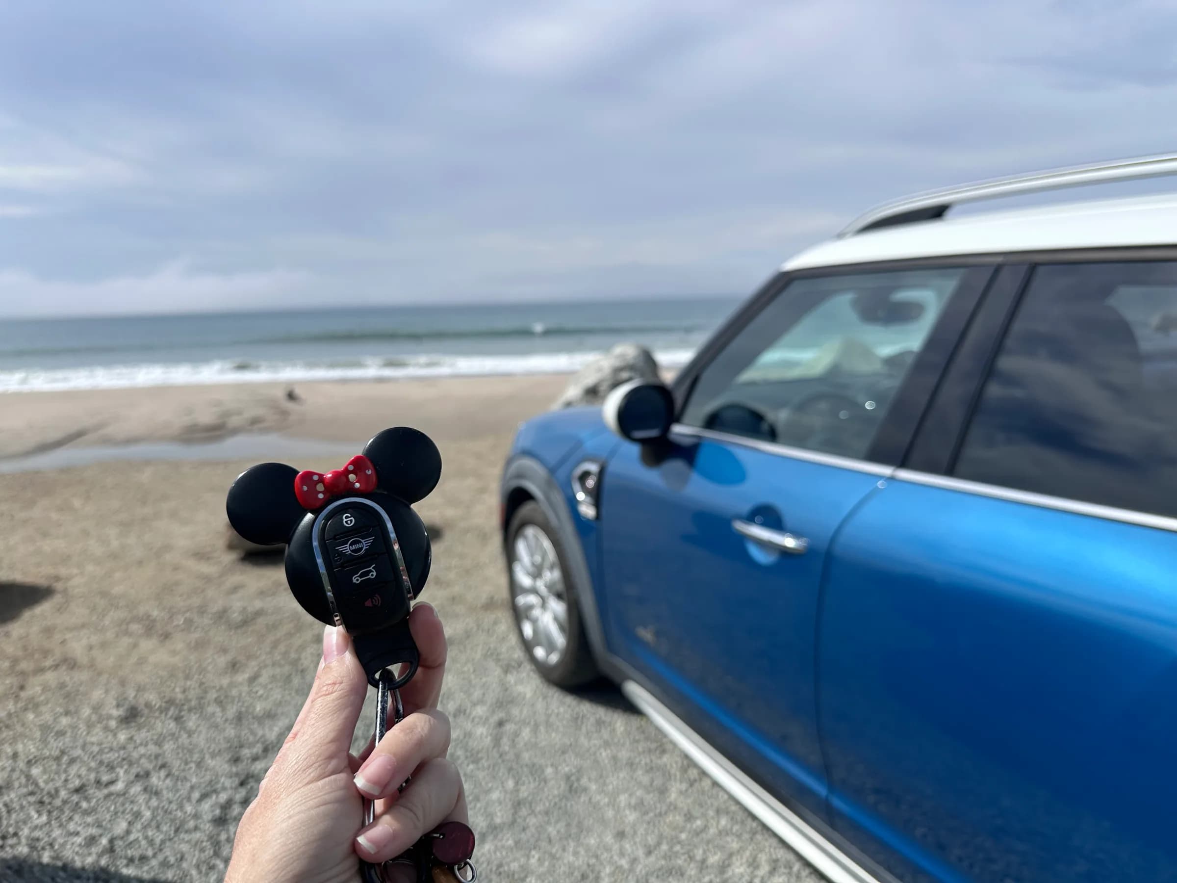 Island Minnie Mini
