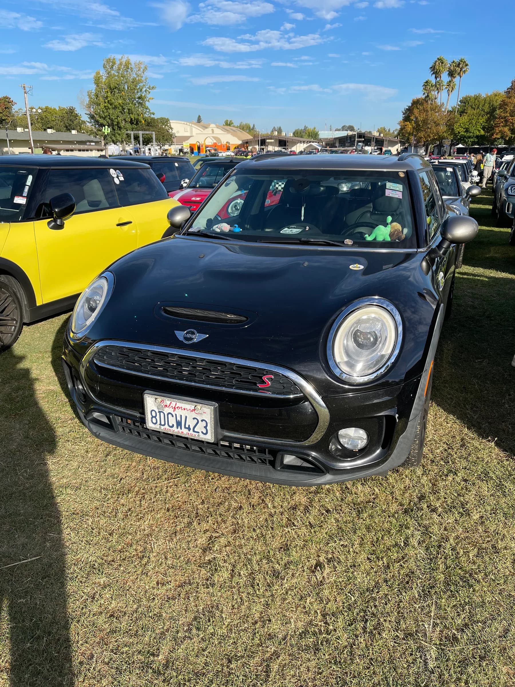 Opus the Platypus, a 2018 Clubman