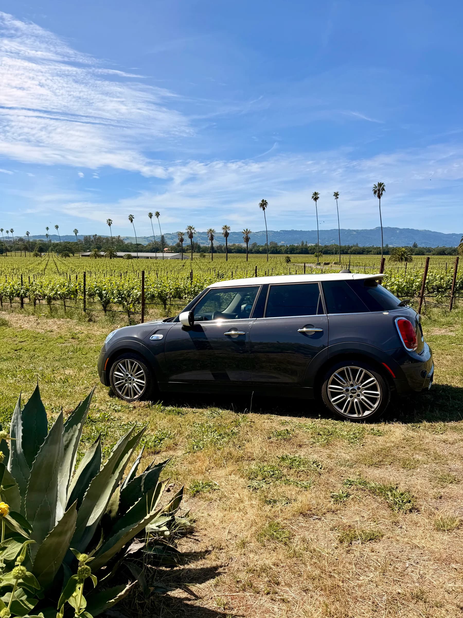 V says we went wine tasting. I say I briefly went vineyard exploring without her. We remember the emergency brake now.