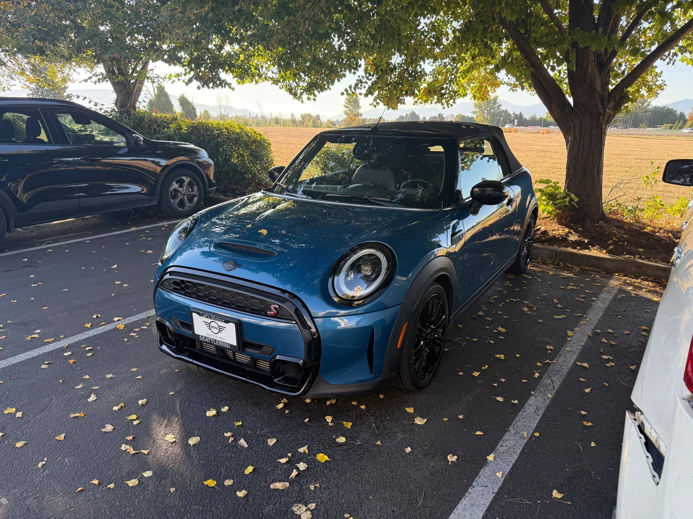 Mongo, a 2023 Convertible